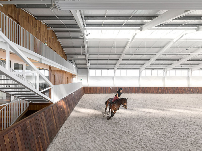 طراحی باشگاه اسب سواری
