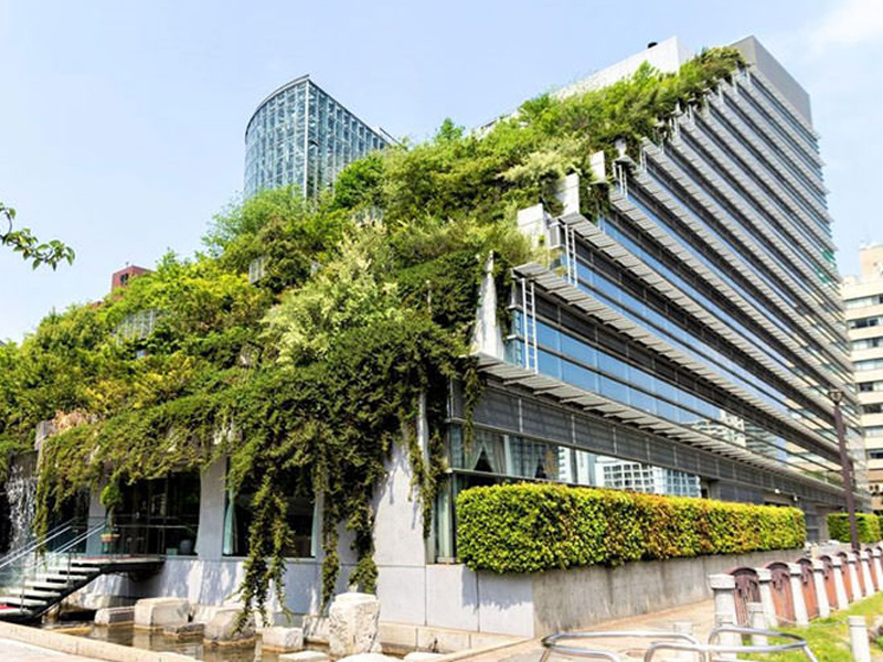 طراحی و اجرای ساختمان سبز